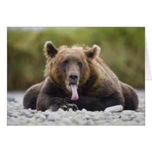 EE. UU., Alaska, Parque Nacional Katmai, Bahía Kuk