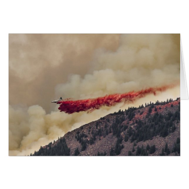 EE. UU., América del Norte, Colorado, Boulder, Fla (Anverso (Horizontal))