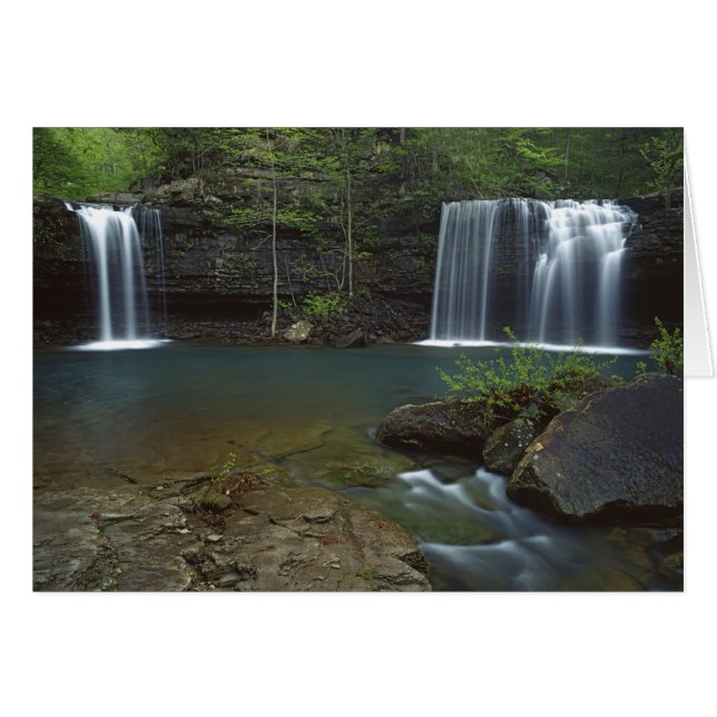 EE. UU., Arkansas, Ozark- St Francis Nacional (Anverso (Horizontal))