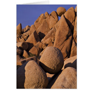 EE. UU., California, Parque Nacional Joshua Tree.