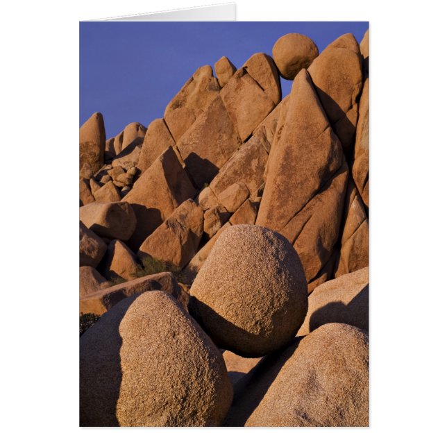 EE. UU., California, Parque Nacional Joshua Tree. (Frente)