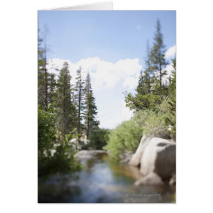 EE.UU., California, Sonora Pass, Landscape con