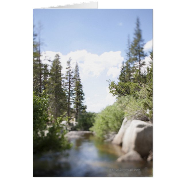 EE.UU., California, Sonora Pass, Landscape con (Frente)