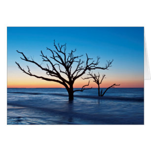 EE. UU., Carolina del Sur, Isla Edisto, Bahía de B