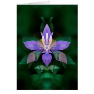 EE.UU., Colorado, condado de Boulder