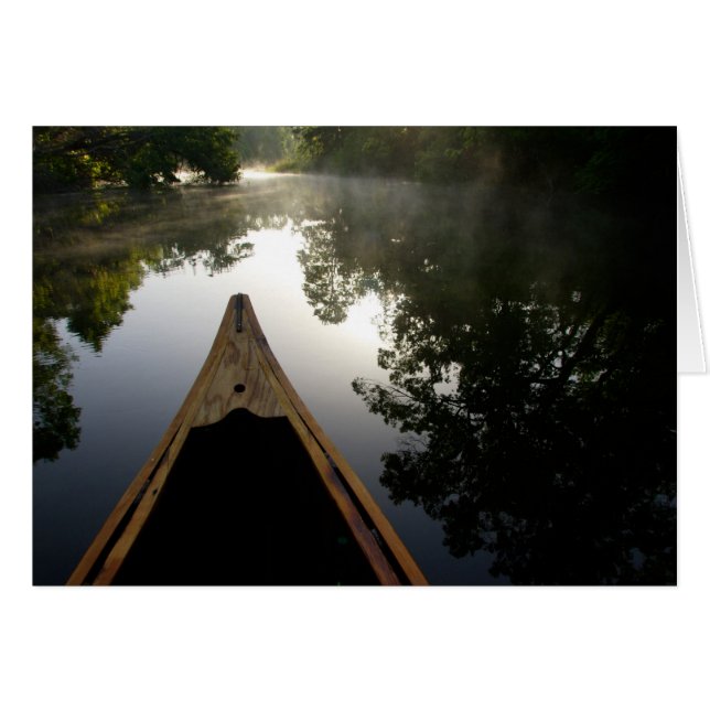 EE. UU., Florida, Bosque Nacional Ocala, Alexander (Anverso (Horizontal))