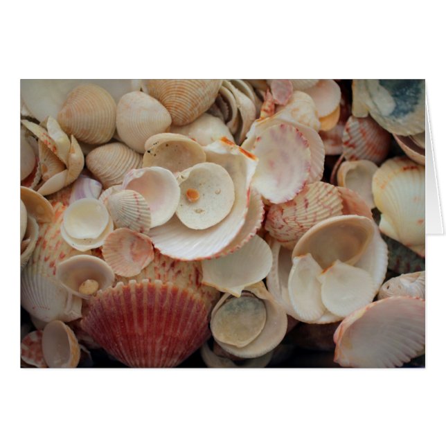 EE.UU., Florida. Cierre De Las Bombas En Santa Ros (Anverso (Horizontal))