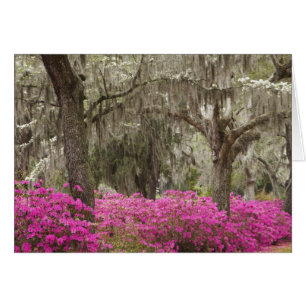 EE. UU., Georgia, Savannah, Primavera en Historic