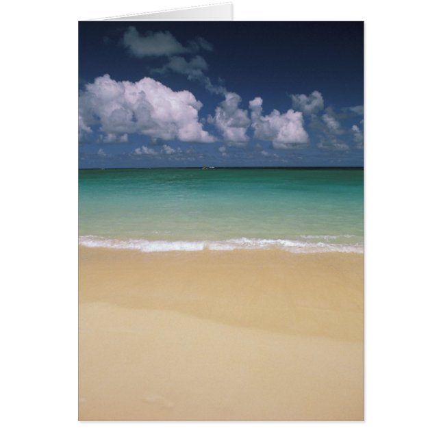 EE. UU., Hawái. Escena de playa (Frente)