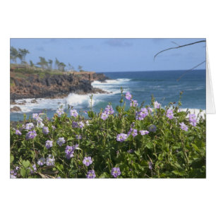 EE. UU., Hawái, Kauai, cerca de Kapaa, noroeste
