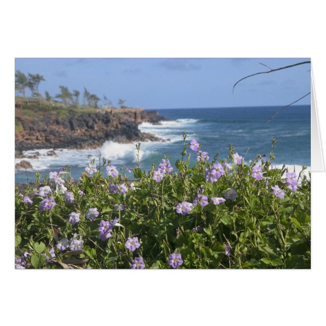 EE. UU., Hawái, Kauai, cerca de Kapaa, noroeste (Anverso (Horizontal))