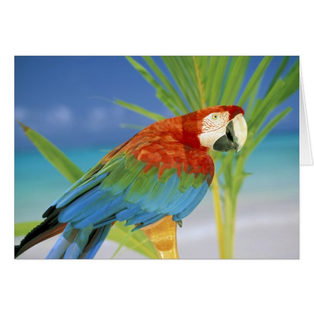 EE. UU., Hawái. Loro (Anverso (Horizontal))