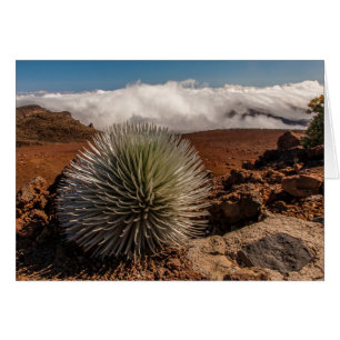 EE. UU., Hawái, Maui, Parque Nacional Haleakala