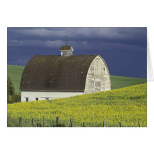 EE. UU., Idaho, al sur de Genesse, campo de canola