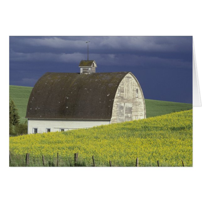 EE. UU., Idaho, al sur de Genesse, campo de canola (Anverso (Horizontal))