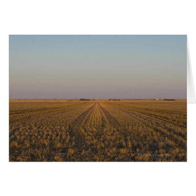EE.UU., Kansas, campo (Anverso (Horizontal))