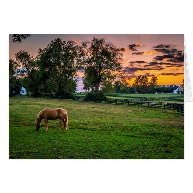 EE.UU., Lexington, Kentucky. Caballo solitario al  (Anverso (Horizontal))