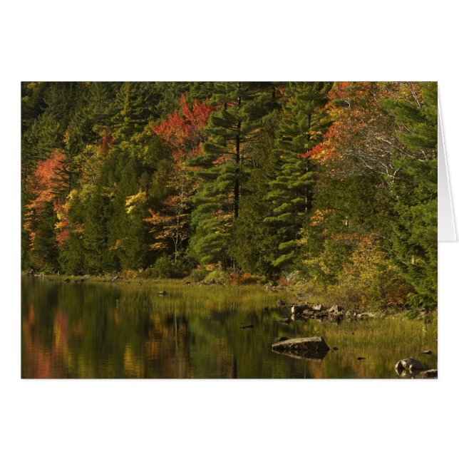 EE. UU.; Maine; PN de Acadia. Reflejos de otoño a  (Anverso (Horizontal))