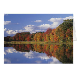 EE.UU., Massachusetts, Acton. Reflejo del otoño