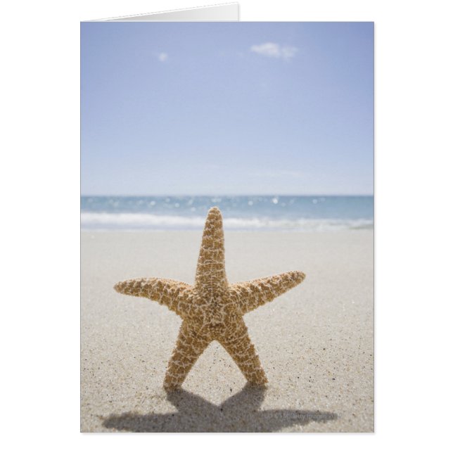 EE.UU., Massachusetts, Cape Cod, Nantucket, cerca (Frente)