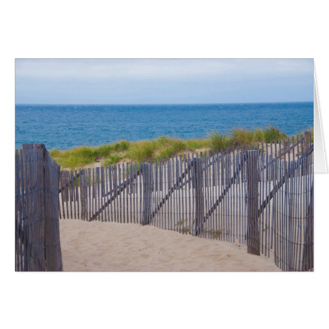 EE. UU., Massachusetts. Dunas y camino (Anverso (Horizontal))