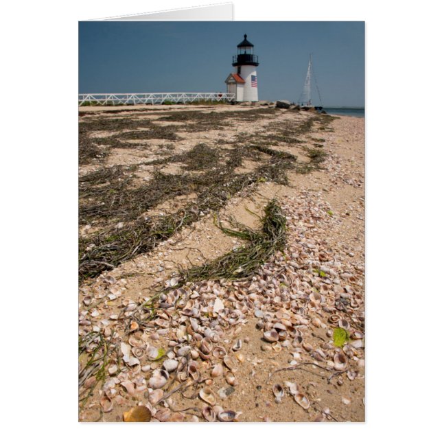 EE. UU., Massachusetts, Nantucket. Concha (Frente)