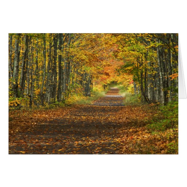 EE. UU., Michigan, Península Superior. Carretera h (Anverso (Horizontal))