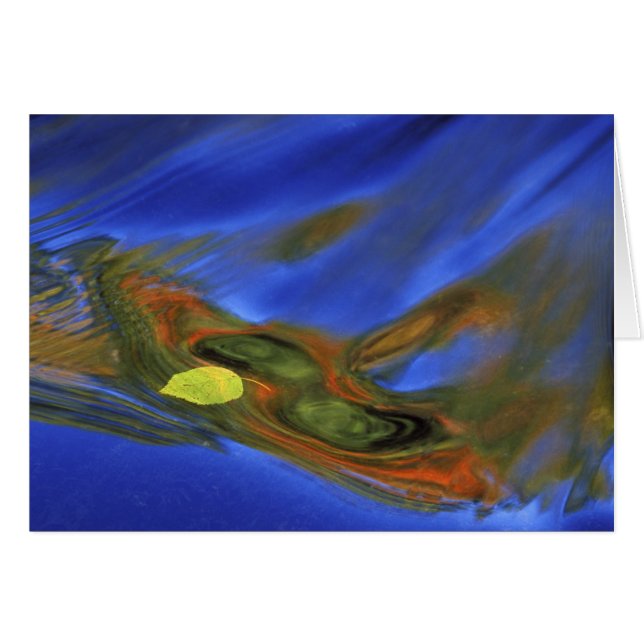 EE. UU., Michigan, Península Superior, hoja de abe (Anverso (Horizontal))