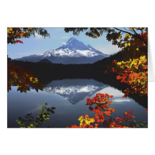 EE. UU., Oregón, Bosque Nacional Mt. Hood.