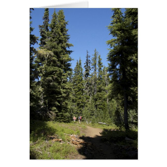 EE. UU., Oregón, Bosque Nacional Willamette, Otoño (Frente)
