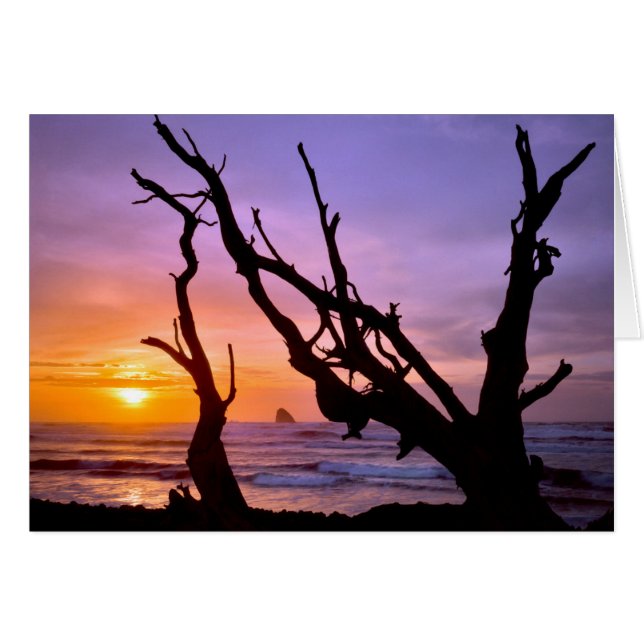 EE. UU., Oregón, Cape Meares. Atardecer (Anverso (Horizontal))