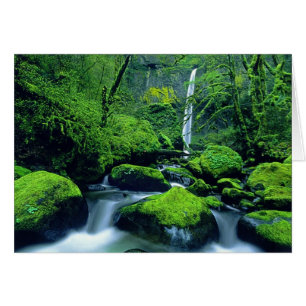 EE. UU., Oregón, Columbia River Gorge National 2