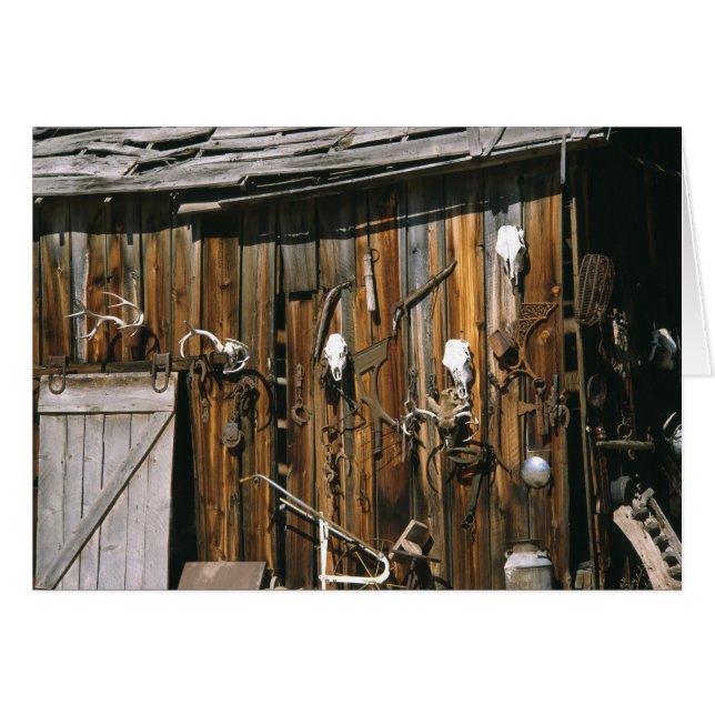 EE. UU., Oregón, condado de Harney. Antigua caball (Anverso (Horizontal))