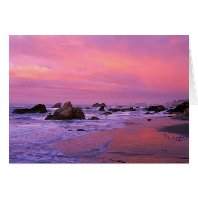 EE.UU., Oregon, Harris State Beach, Brookings. (Anverso (Horizontal))