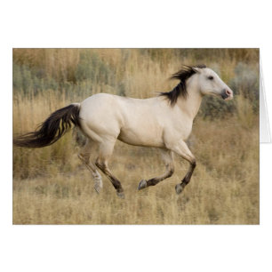 EE. UU., Oregón, Seneca, Ponderosa Ranch. Caballo