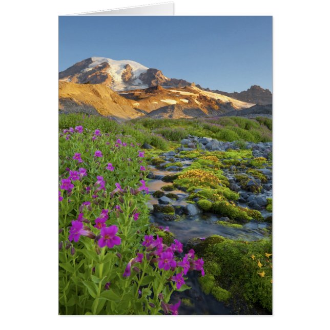 EE. UU., Parque Nacional Mt. Rainier, Washington. (Frente)