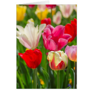 EE.UU., Tennessee, Nashville