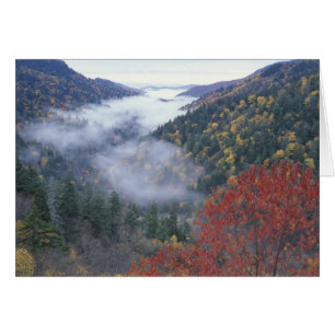 EE. UU., Tennessee, Parque Nacional Grandes Montañ