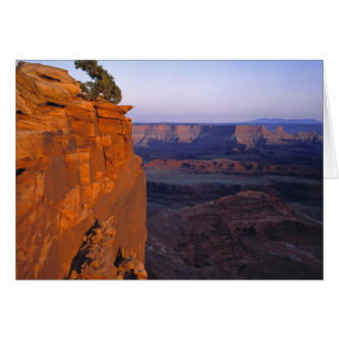 EE. UU., Utah, Dead Horse Point SP. Luz tardía se 