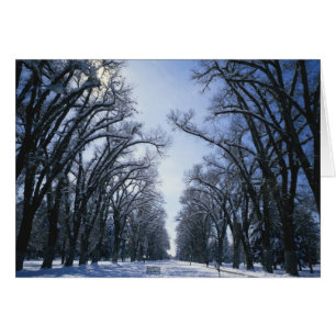 EE. UU., Utah, Salt Lake City, Liberty Park,