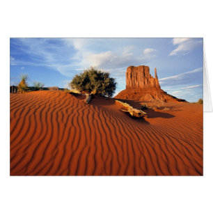 EE. UU., Utah, Valle de los Monumentos. El viento 