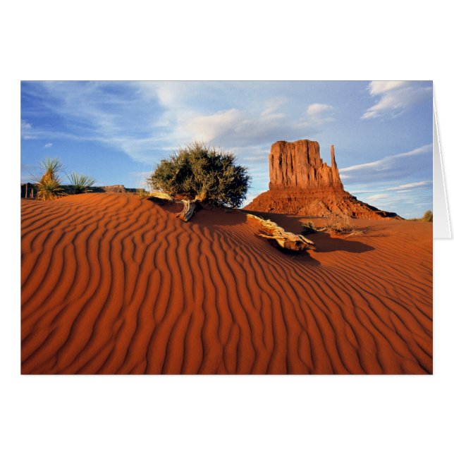EE. UU., Utah, Valle de los Monumentos. El viento  (Anverso (Horizontal))