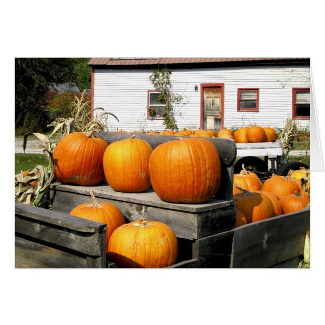 EE. UU., Vermont. Calabazas (Anverso (Horizontal))