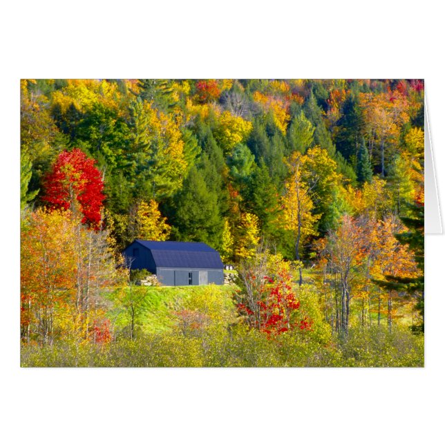 EE. UU., Vermont. Foliaje de otoño a lo largo de l (Anverso (Horizontal))