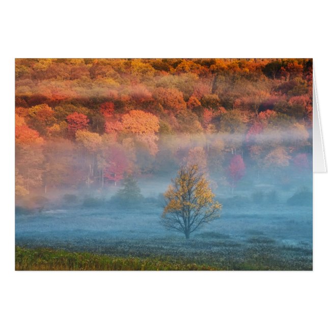 EE. UU., Virginia Occidental, Davis. Valle brumoso (Anverso (Horizontal))