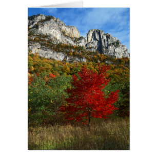 EE. UU., Virginia Occidental, Spruce Knob-Seneca R