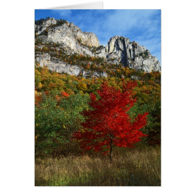 EE. UU., Virginia Occidental, Spruce Knob-Seneca R (Frente)