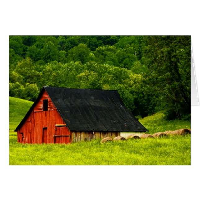 EE. UU., Virginia, Parque Nacional Shenandoah, 2 (Anverso (Horizontal))