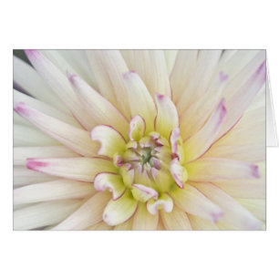 EE.UU., Washington, Bellevue, Botánica Bellevue 2