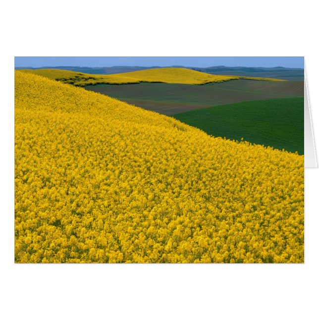 EE. UU., Washington, Condado de Whitman, Palouse,  (Anverso (Horizontal))